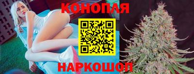 дмт Можга