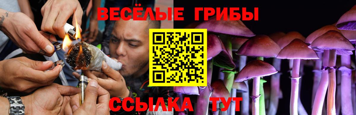 Псилоцибиновые грибы Magic Shrooms  Вход с VPN  где найти наркотики  Псилоцибиновые грибы ЛСД  Сорочинск 